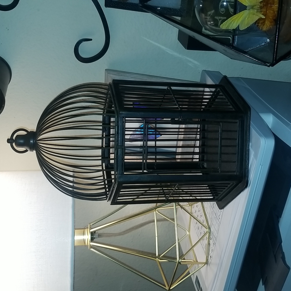 🕊 Bird cage decor